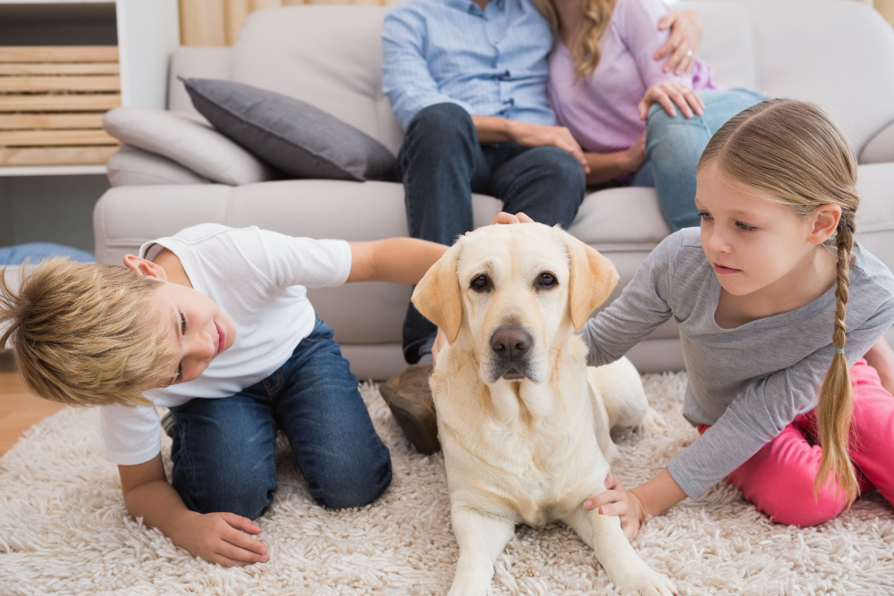 Cele mai bune rase de câini pentru familii