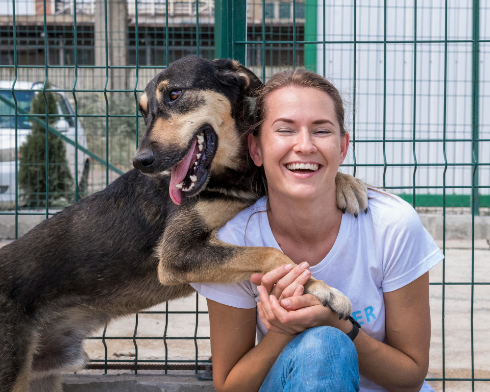 Top produse handmade pentru iubitorii de animale care vor să facă o diferență